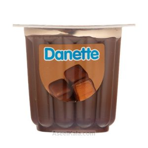 مشخصات ، قیمت و خرید دسر دنت Danette با طعم شکلات کاراملی وزن 100 گرم