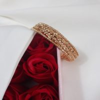 بنگل آلبرنادو طرح گوی